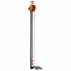 Vestil Professional Chain Hoist, 4K, 20 ft. PHCH-4-20